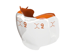 Bioclear Evolve Posterior Matrix Series - www.bioclearmatrix.co.uk 327151.50 Bioclear